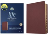 KJV Life Application Large-Print  Study Bible, Third Edition--genuine leather, burgandy (indexed)