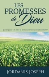 Les Promesses De Dieu: Que se passe-t-il entre la promesse et son accomplissement?