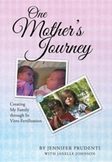 One Mother's Journey: Creating My Family Through in Vitro Fertilization