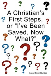 A Christian's First Steps, or I've Been Saved, Now What?