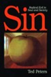 Sin: Radical Evil in Soul & Society