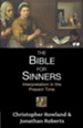 The Bible for Sinners: Interpretation in the Present Time