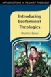 Introducing Ecofeminist Theologies