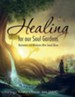 Healing for Our Soul Gardens: Restoration and Wholeness After Sexual Abuse