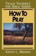 How to Pray, Teach Yourself the Bible Series