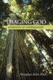 Imaging God: Dominion as Stewardship