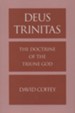 Deus Trinitas: The Triune God