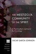 The Mestizo/A Community of the Spirit