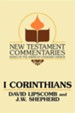 I Corinthians: A Commentary on the New Testament Epistles