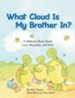 What Cloud Is My Brother In?: A Children's Book About Love, Memories, and Grief