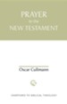 Prayer in the New Testament: Overtures to Biblical Theology