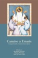 Camino a Emaus: Compartiendo La Mision de Jesus / Walking Toward Emmaus - Spanish
