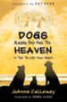 Dogs Really Do Go to Heaven