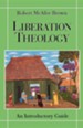 Liberation Theology: An Introductory Guide Guide