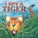 I Spy a Tiger