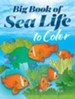 Big Book of Sea Life to Color