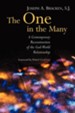 The One in the Many: A Contemporary Reconstruction of the God-World Relationship