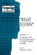 What Is John?: Volume II, Literary and Social Readings of the Fourth Gospel