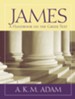 James: A Handbook on the Greek Text [BHGNT]