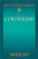 Colossians: Abington New Testament Commentaries [ANTC]