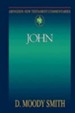 John: Abington New Testament Commentaries [ANTC]