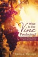 What Is the Vine Producing?: Discover What Makes a More Fruitful Life