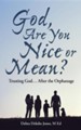 God, Are You Nice or Mean?: Trusting God ... After the Orphanage