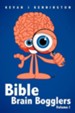 Bible Brain Bogglers Volume I