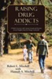 Raising Drug Addicts: A Father's Account, with Lessons Learned and Sections by My Daughter from the Orange County Jail