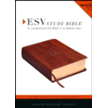 Front cover - ESV Study Bible, TruTone Imitation Leather, Walnut, Celtic Imprint Design
