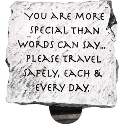 You Are Special Visor Clip   - 