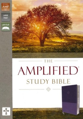 Amplified Study Bible--soft leather-look, purple  - 