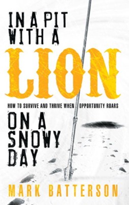 In a Pit with a Lion on a Snowy Day - eBook  -     By: Mark Batterson
