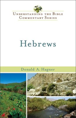 Hebrews - eBook  -     By: Donald A. Hagner
