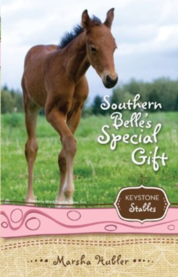 Southern Belle's Special Gift - eBook  -     By: Marsha Hubler
