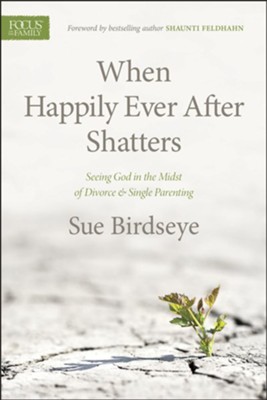 When Happily Ever After Shatters: Seeing God in the Midst of Divorce & Single Parenting - eBook  -     By: Susan Birdseye
