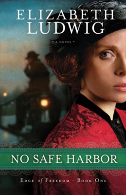 No Safe Harbor - eBook  -     By: Elizabeth Ludwig
