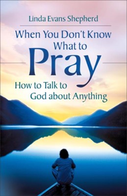 When You Don't Know What to Pray: How to Talk to God about Anything - eBook  -     By: Linda Evans Shepherd
