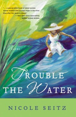 Trouble the Water - eBook  -     By: Nicole Seitz
