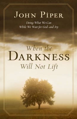 When the Darkness Will Not Lift: Doing What We Can While We Wait for God-and Joy - eBook  -     By: John Piper
