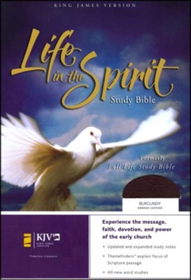 KJV Life in the Spirit Study Bible, Bonded Leather, Burgundy,  Thumb-Indexed (Previously titled The Full Life Study Bible)  - 