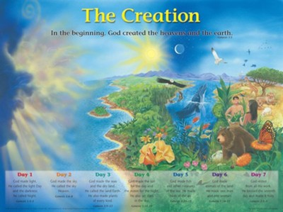 The Creation Laminated Wall Chart   - 