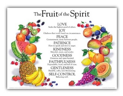 The Fruit Of The Spirit Laminated Wall Chart   - 