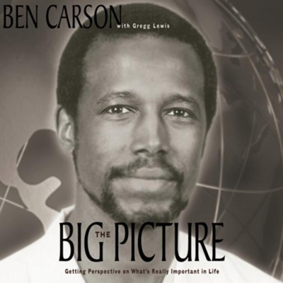 The Big Picture: Getting Perspective on What's Really Important in Life Audiobook  [Download] - 