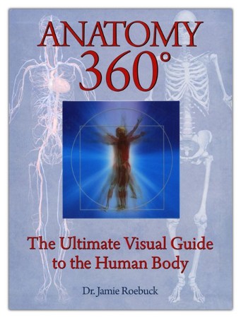 Anatomy The Ultimate Visual Guide To The Human Body Reprint Edition Dr Jamie Roebuck