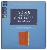 NASB 1995 XL Bible, Comfort  Print--soft leather-look, brown