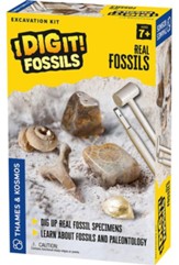 Real Fossils Excavation Kit