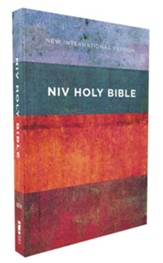 NIV Value Outreach Bible--softcover, red/blue stripes