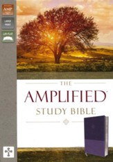 Amplified Study Bible--soft leather-look, purple