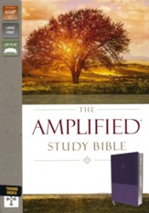 Amplified Study Bible--soft leather-look, purple (indexed)